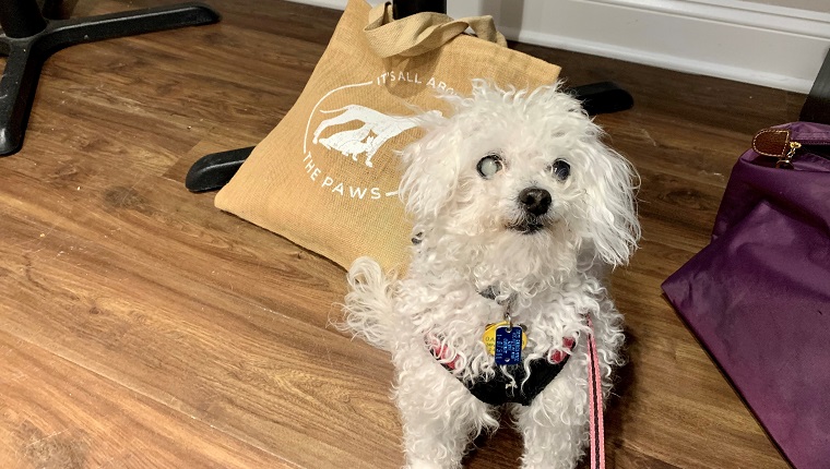 Leia, excited for her goodie bag