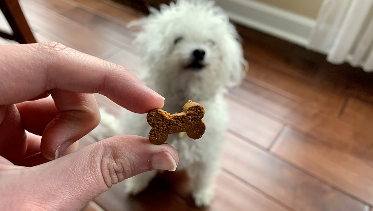 The Joint Care Chews come in adorable bone shapes