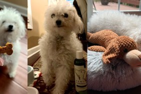 Leia with Petlab Co. products
