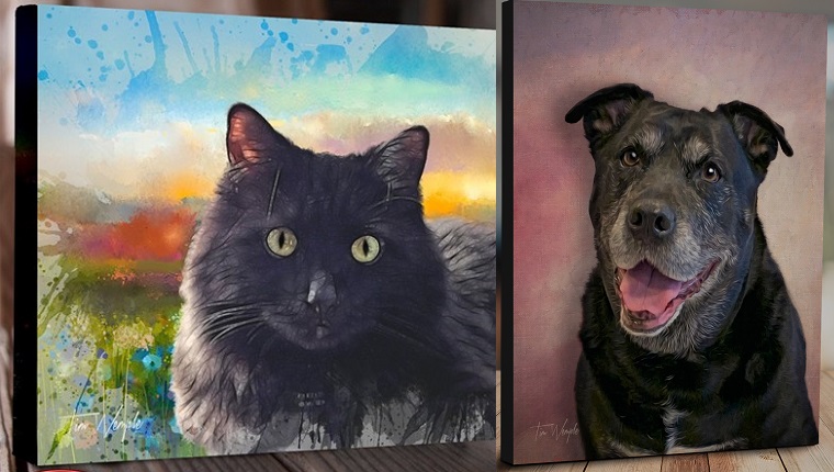 cat portrait and dog portrait