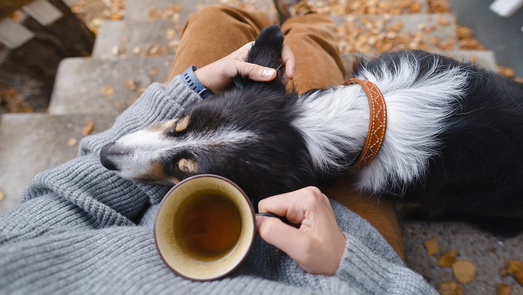 A person and a dog sitting outside on the stars with a cup of tea.