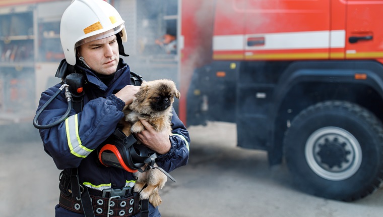 Fire Fighter carrying frightened dog from basement of smoke filled building.