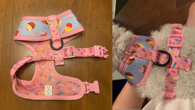 Cupcake harness interior and straps 