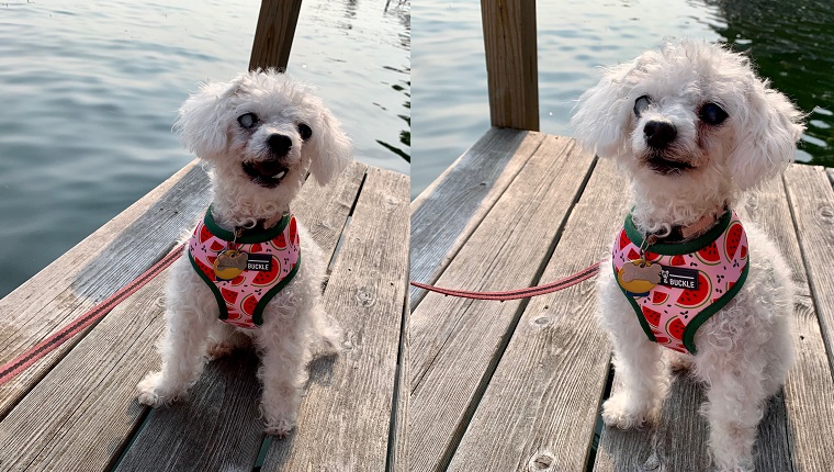 Dockside lady