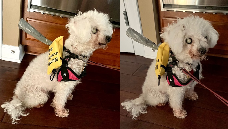 "My very own backpack!" 