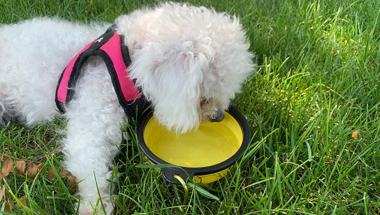 Leia staying hydrated 