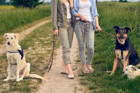 Two women walking their dogs on a rural dirt road in a close up cropped view of their bodies and the three dogs resting