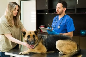 Sad woman petting a german shepherd lying on the examination table at the veterinarian's office. Hispanic vet explaining the sickness and symptoms of on old dog to her owner at the vet clinic