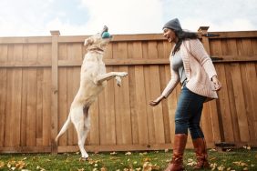 Woman playing fetch with dog