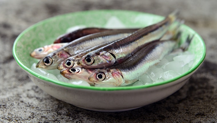 Fresh raw european anchovies on ice