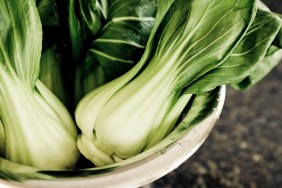 Fresh bok choy (chinese cabbage) in a collander.