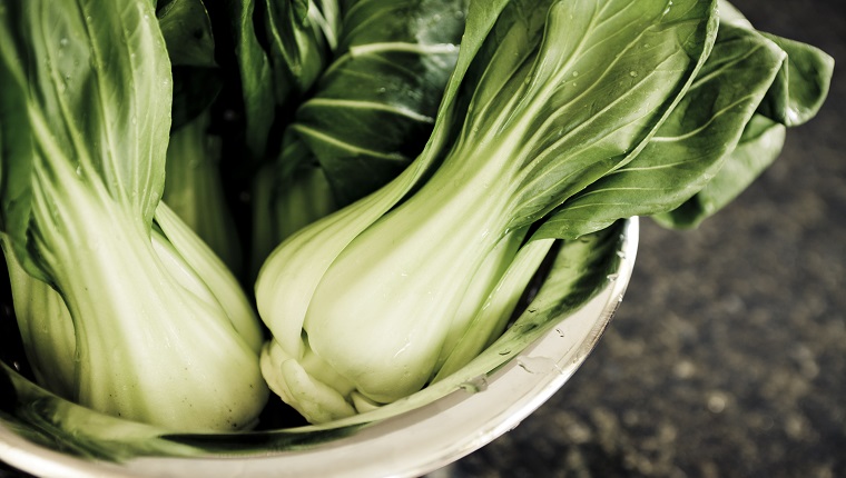 Fresh bok choy (chinese cabbage) in a collander.