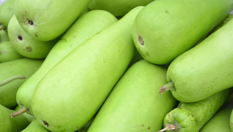 Raw green Calabash on display at Vegetable and Fruit Stall of Local Market at Little India, Singapore