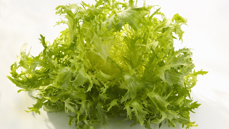 Fresh Frisée Lettuce