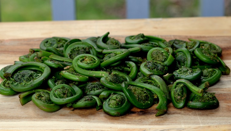 High Angle View Of Fiddleheads On Table At Home