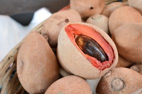 Close up of the delicious sapote fruit in the market of Totonicapan, Guatemala