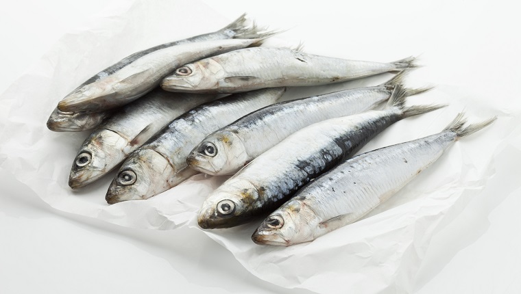 Sardines on wax paper