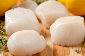 Fresh Sea Scallops