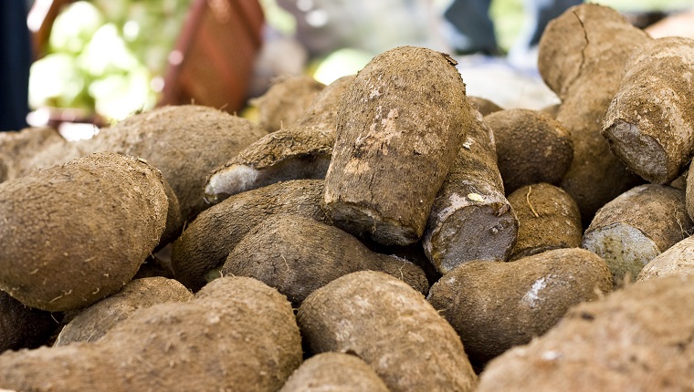 A stack of yellow yam at a farmers market.