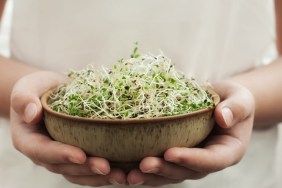 Young adult hands holds ceramic bowl with homegrown organic sprouts, micro greens. Alfalfa sprouts .Healthy eating concept .Close up,selective focus.