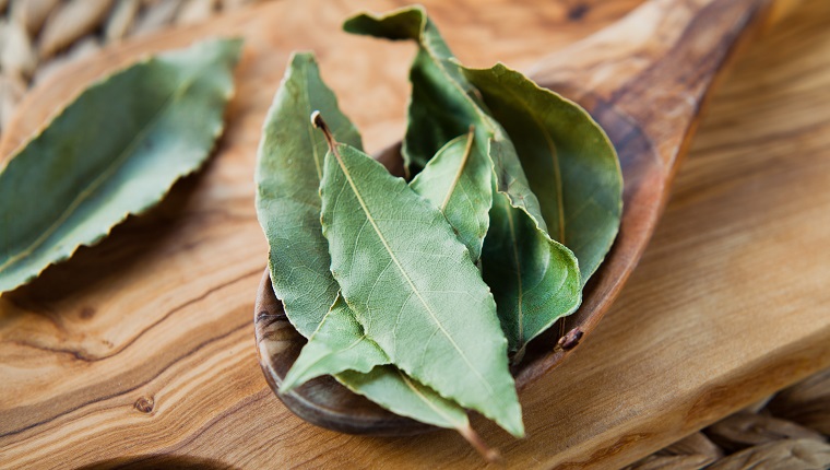 Dry Bay Leaves - Laurel Tree leaves, aromatic herb and Indian spices on the wooden spoon, rustic background, macro.