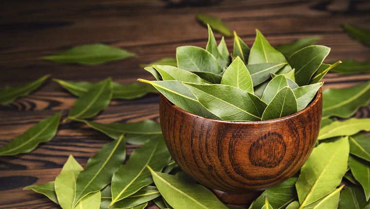 Bay leaves in wooden bowl with copy space