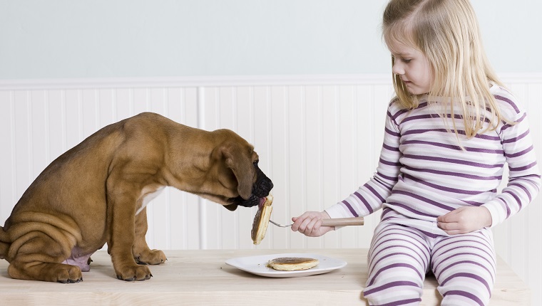 little girl feeding pancakes to her dog