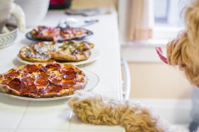 Our dog photobombed my attempts at taking pictures of my fresh-from-the-oven pizzas.