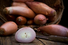 Deutschland, Studio, Französische Bananen-Schalotten aus der Bretagne (Allium ascalonicum )