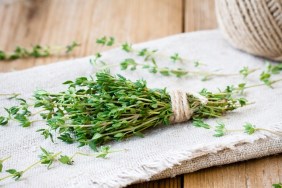 bundle of raw fresh organic thyme on sackcloth