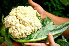 Cropped Hands Holding Cauliflower