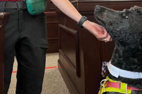 courthouse dog