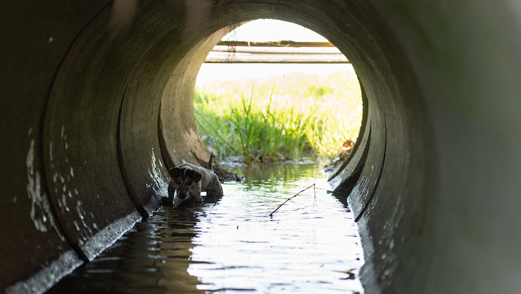 sewer pipe