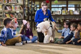therapy dog