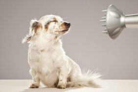 house fire hair dryer