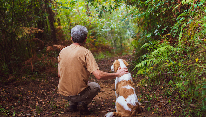 dog friendly hikes