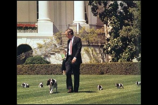 white house dogs