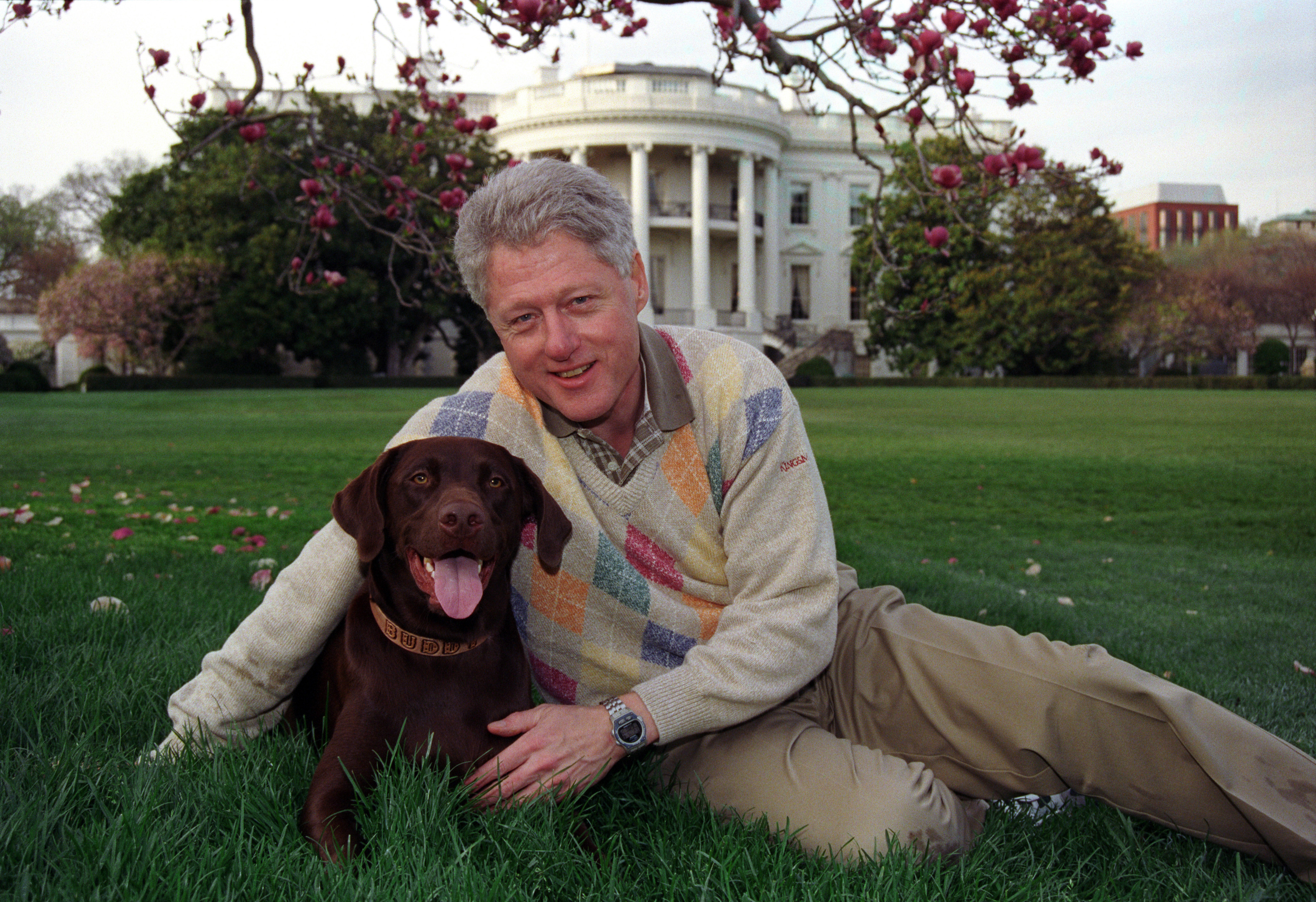 bill clinton dog