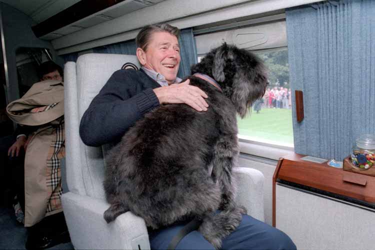 ronald reagan dog