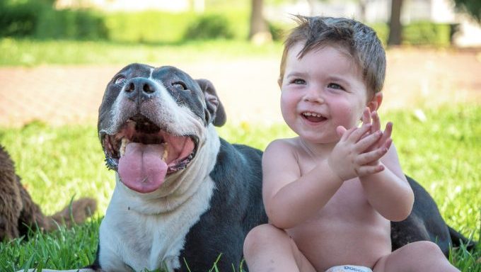 dog saves baby