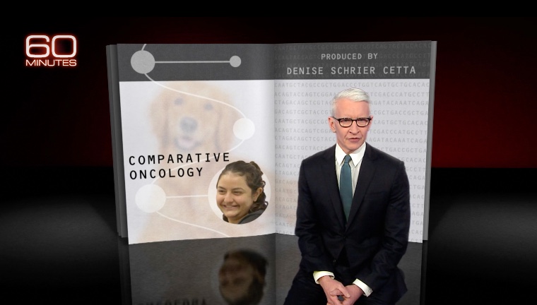 Anderson Cooper comparative oncology study