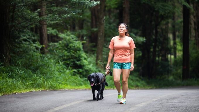 A woman walks alongside a tired Black Lab.