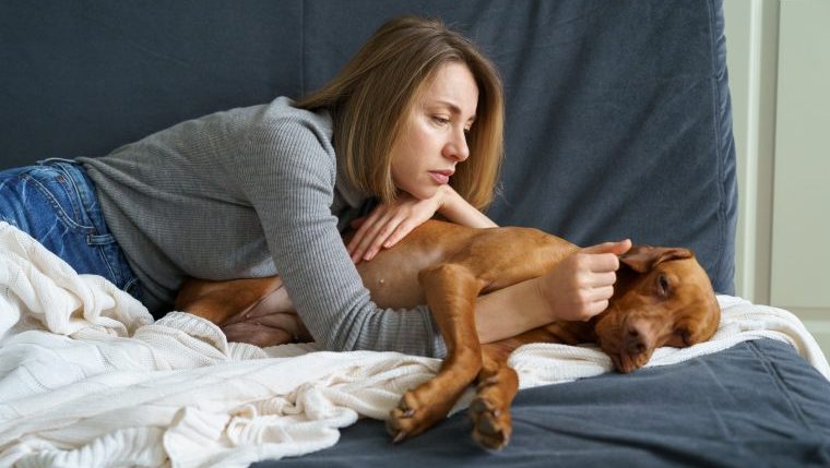 reasons dog owners feel guilty