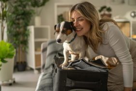 woman packing suitcase with dog leaving your dog at home while you travel