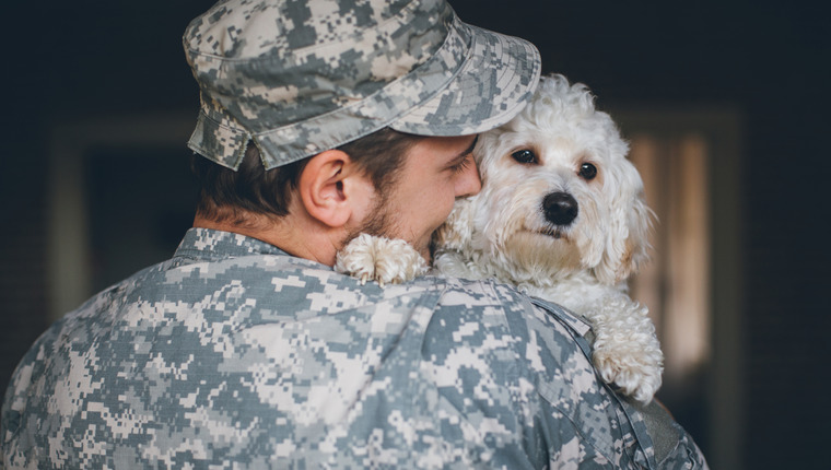 a veteran with his support dog