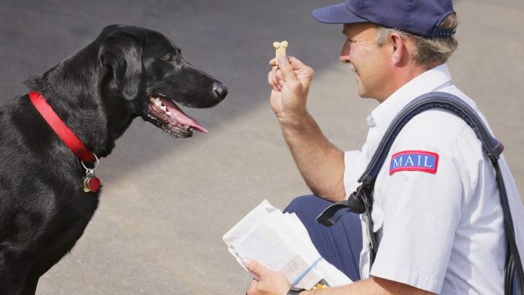 mail carrier and dog pepper-sprayed