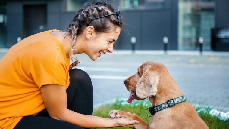 woman shaking hands with dog sitting