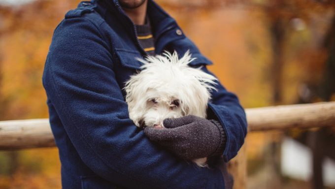 suspicious man holding dog how to spot a dog scam