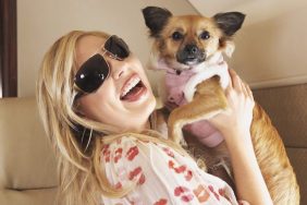 dog owners traveling with pets in private jets