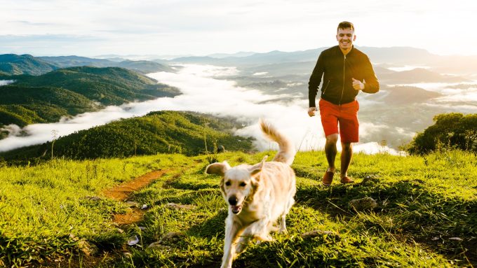 Golden Retriever running with man